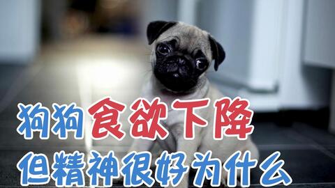 3a91f5ba4aabedd6a27fdbbaa95753e1aac113aa.jpg@480w_270h_1c