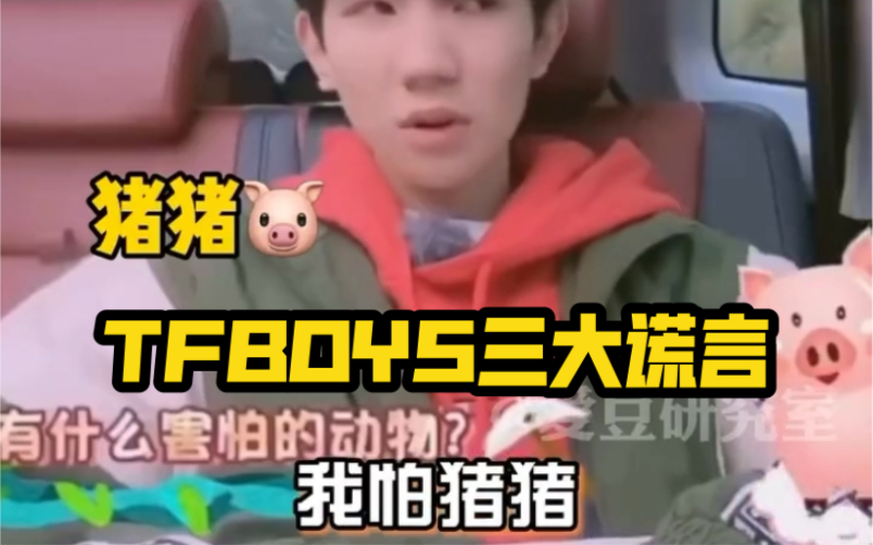 TFBOYS说过的三大谎话:王俊凯不怼人、王源最刚、易烊千玺最高冷!!!哔哩哔哩bilibili