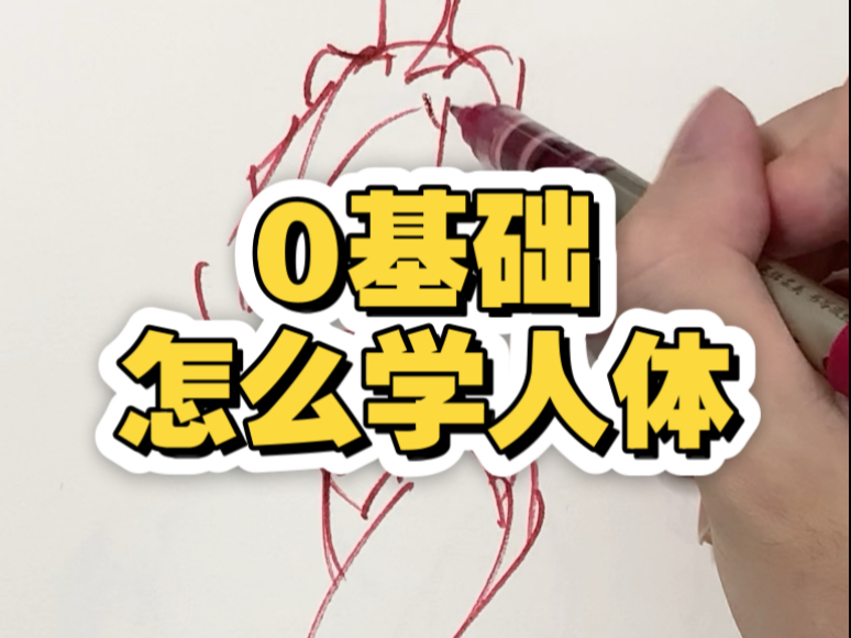 0基础怎么学人体