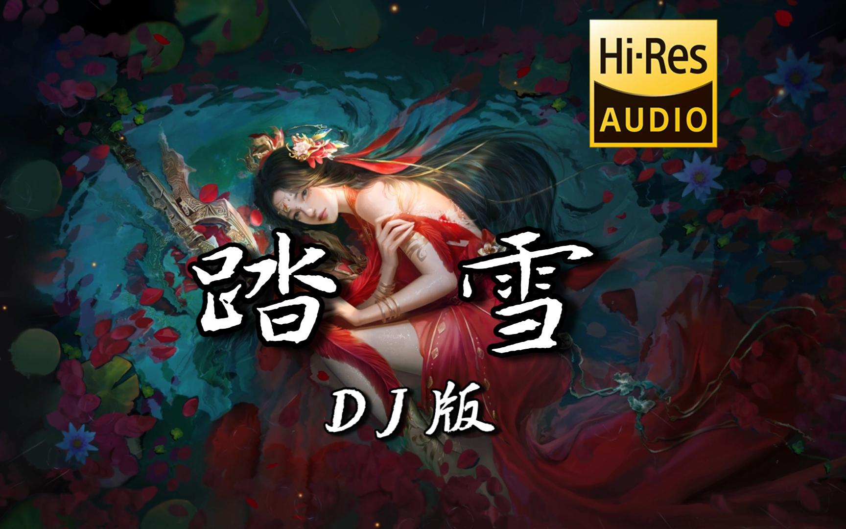 【古风DJ】《踏雪 (DJ阿卓版)》 - 邓寓君(等什么君) <无损音质>「飞鸿起 踏破云烟 万水千山之间」