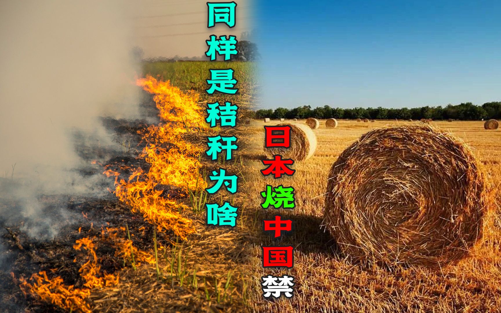 秸秆到底能不能烧？为啥日本农民随便烧！中国专家：国情不一样