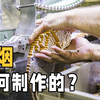 香烟是怎样制作的？里面的烟草又是从哪来的？从根本上了解香烟