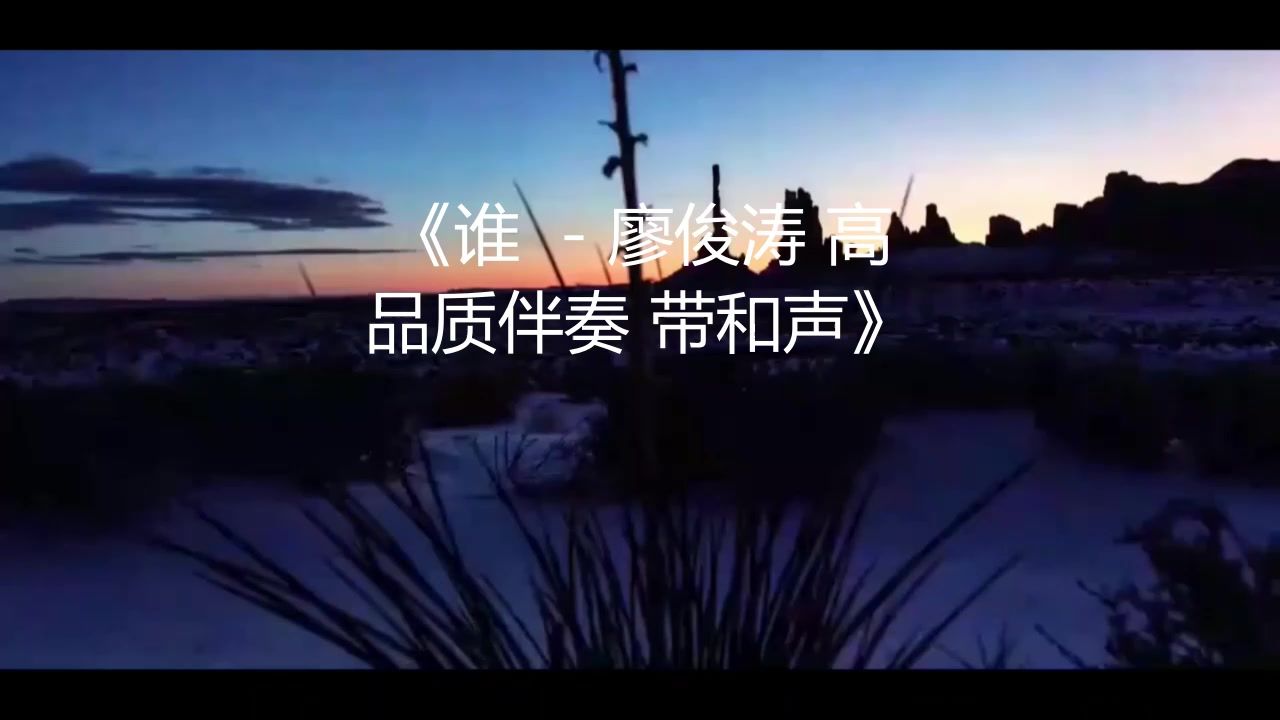 谁 - 廖俊涛 高品质伴奏 带和声 (1)《带字幕》