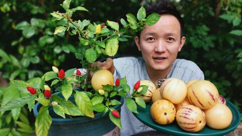 3adfc57f3ab491c9d2e5babb6010beb034d465f9.jpg@480w_270h_1c