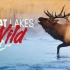 【纪录片】野性大湖 第一季1080P（双语）Great Lakes Wild