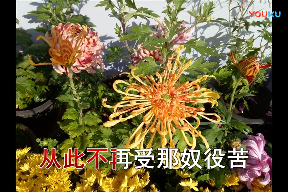 黄梅戏《天仙配》选段 ‘夫妻双双把家还’ 伴奏