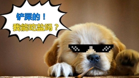 3b19a3087fb02d1b10425b52eea22e8fbe520f87.jpg@280w_158h_1c_100q.jpg