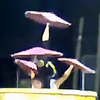 17唐小雨 （柔术转毯）幕后排练