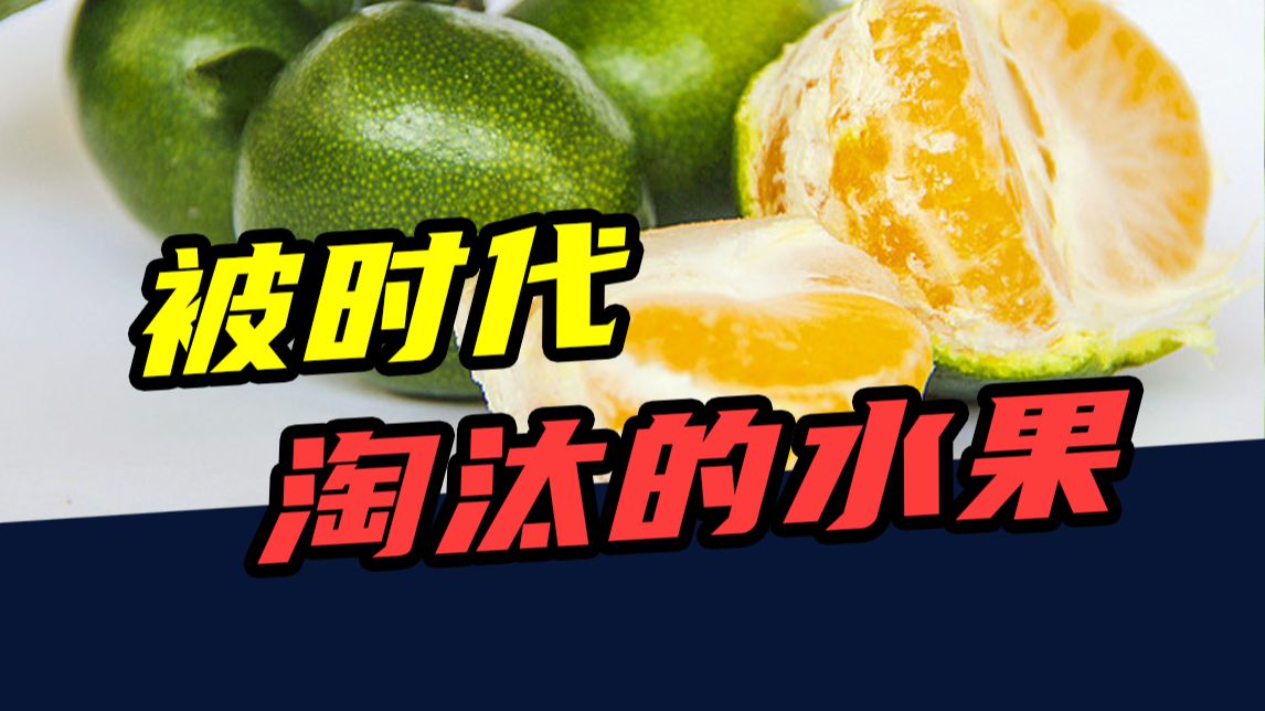 青苹果、绿橘子、拐枣.....盘点那些被时代淘汰的水果