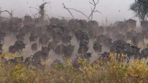 3bb517fb080652e34b6bed70e676f6455d7d6b1f.jpg@480w_270h_1c