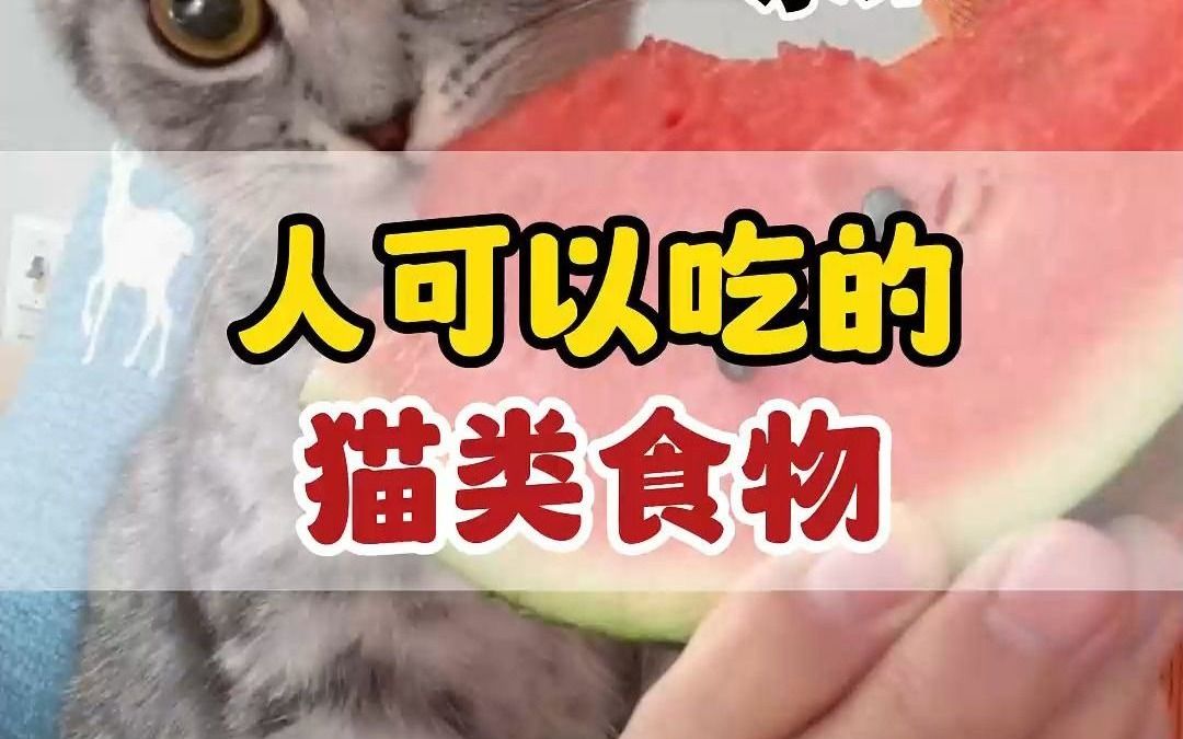 人可以吃的猫食物，你一口它一口