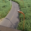 探索成都绿道 马场性质 究竟是封闭自行车专用道 还是公共道路