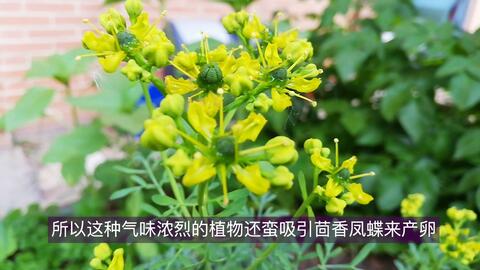 3be121ca5b636edbfa8ba7461856d8edbad25037.jpg@480w_270h_1c