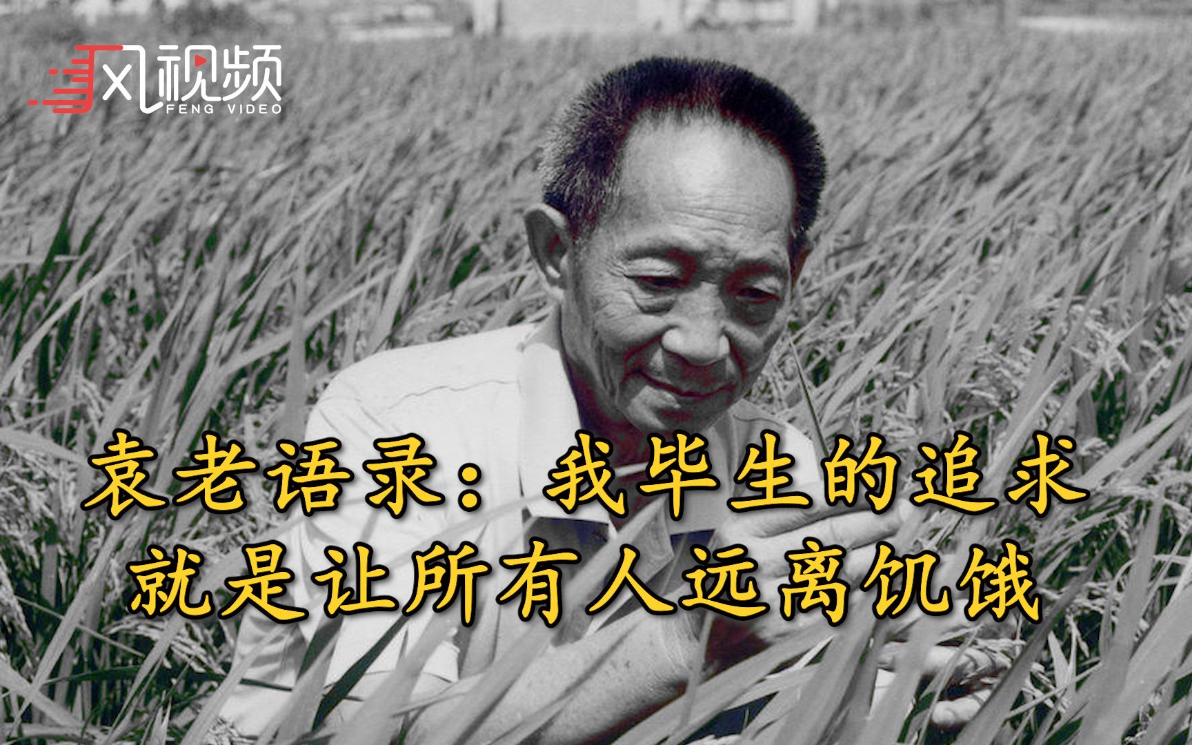 时代脊梁袁隆平离世，回顾中国布“稻”者的传奇一生
