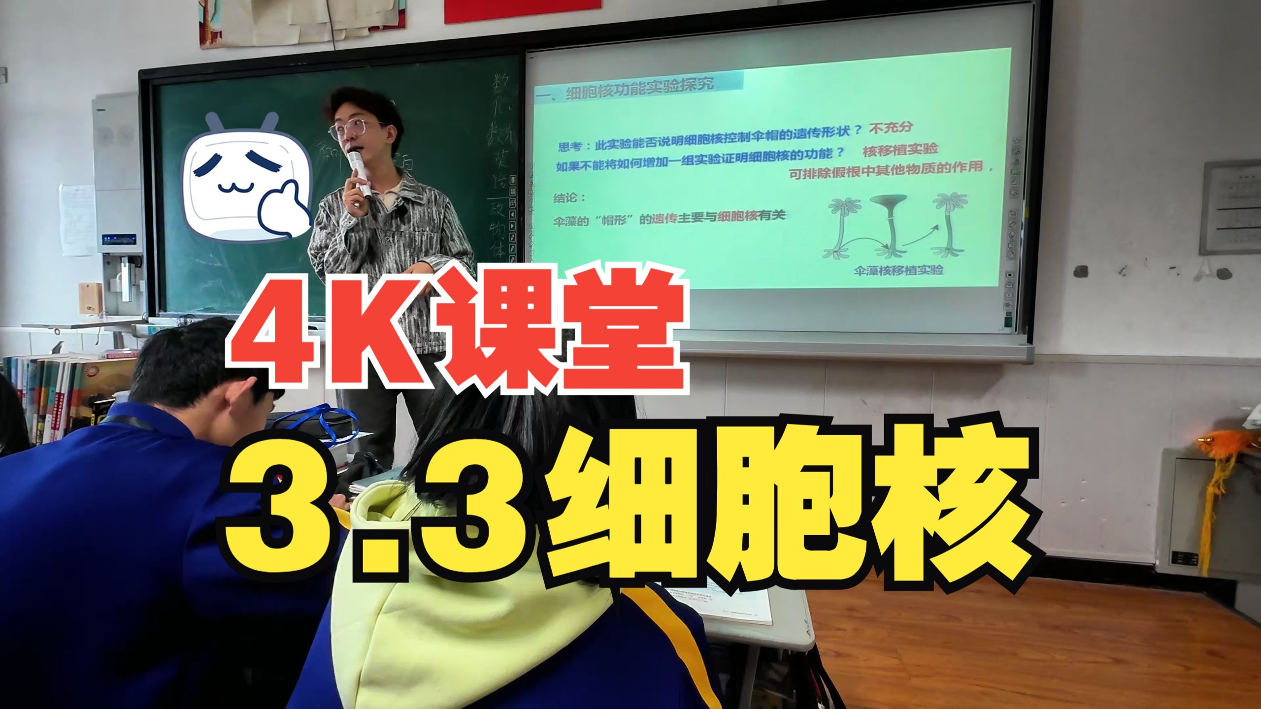 【4K/2025年实录】高一高中生物必修一3.3细胞核的结构和功能 生物学 必修1 同步网课 分子与细胞全册讲解新高考全国通用