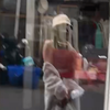 男娘的户外 露出