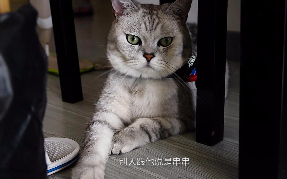 3c07f6553dd8fb70ca76eb21e9c362d953a86bb1.jpg