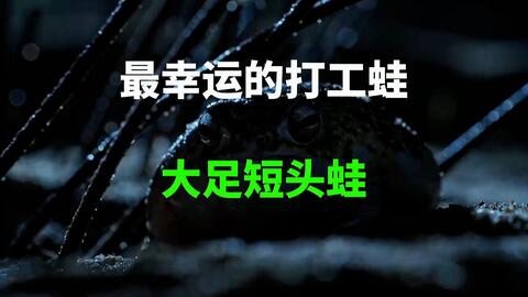3c375548b91eeabb3b970e32833b7fc33d5183e5.jpg@480w_270h_1c