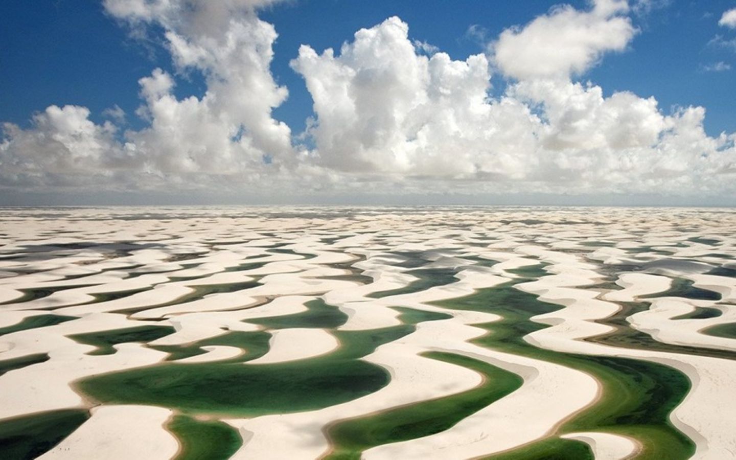 沙漠里的鱼塘：一片世界上独一无二的沙丘湖奇景【寰球大百科363】