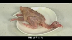 如何在家里烤乳鸽 3c453f20772149117f162f65adc45bd26d9d4290.jpg@280w_158h_1c_100q.jpg