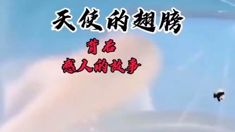 3c531622b7caca7a98085e15f9f02a7fb2794459.jpg@480w_270h_1c