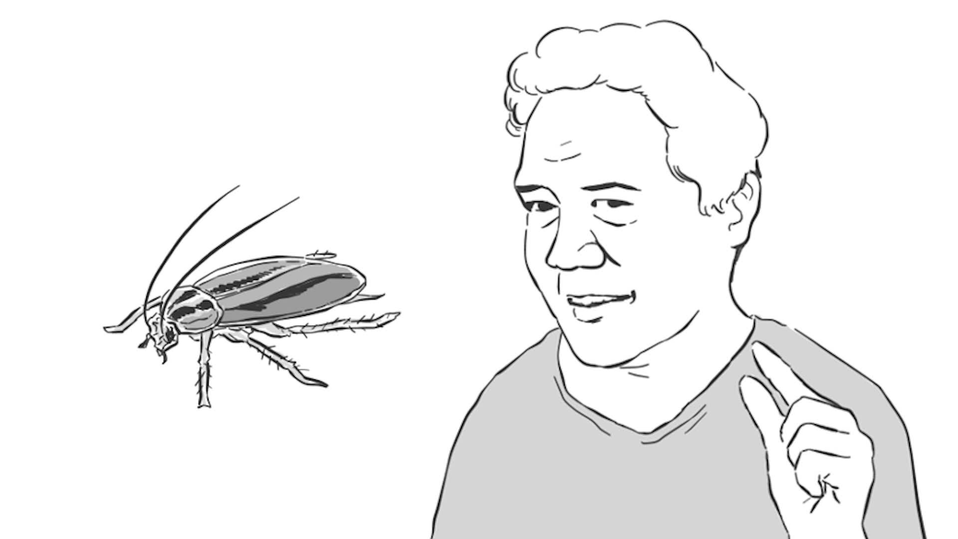 南方的蟑螂到底有多可怕？