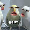 “动物园园长”一天到底能干多少活儿…………看完你就支棱了