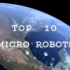 （生肉）十种不可思议的微型机器人