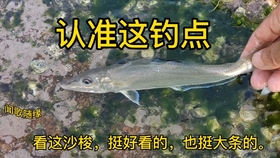 3c86bc00ac83c9ed3f0e610e2d43b55dbf95c700.jpg@280w_158h_1c_100q.jpg