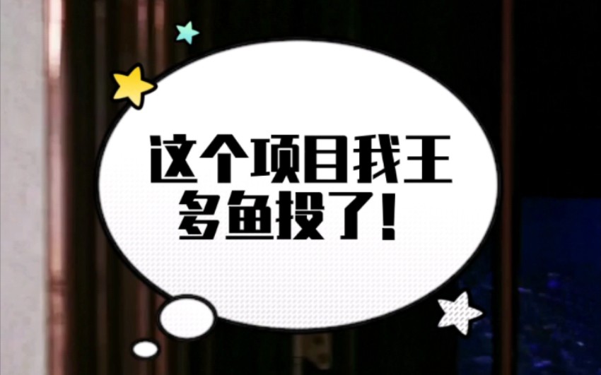 这个项目我王多鱼投了