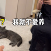 指 猫 骂 猩