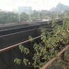 宁局柳段新车和谐N5双机蚂蚱0351/0387鹧鸪江站6道发车是从桂林回来的，到柳州
