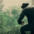 【卡特亚实况】猩猩模拟器！早期猩猩征服提瓦特大陆珍贵影像