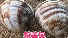 3ca6fbb9f354a469a94897db27000747ec3d7be7.jpg@280w_158h_1c_100q.jpg