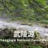 张家界国家森林公园，金鞭溪雨景