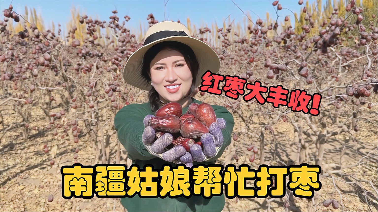 新疆妹妹自家红枣大丰收，帮叔叔一起打枣，满地大枣香诱人