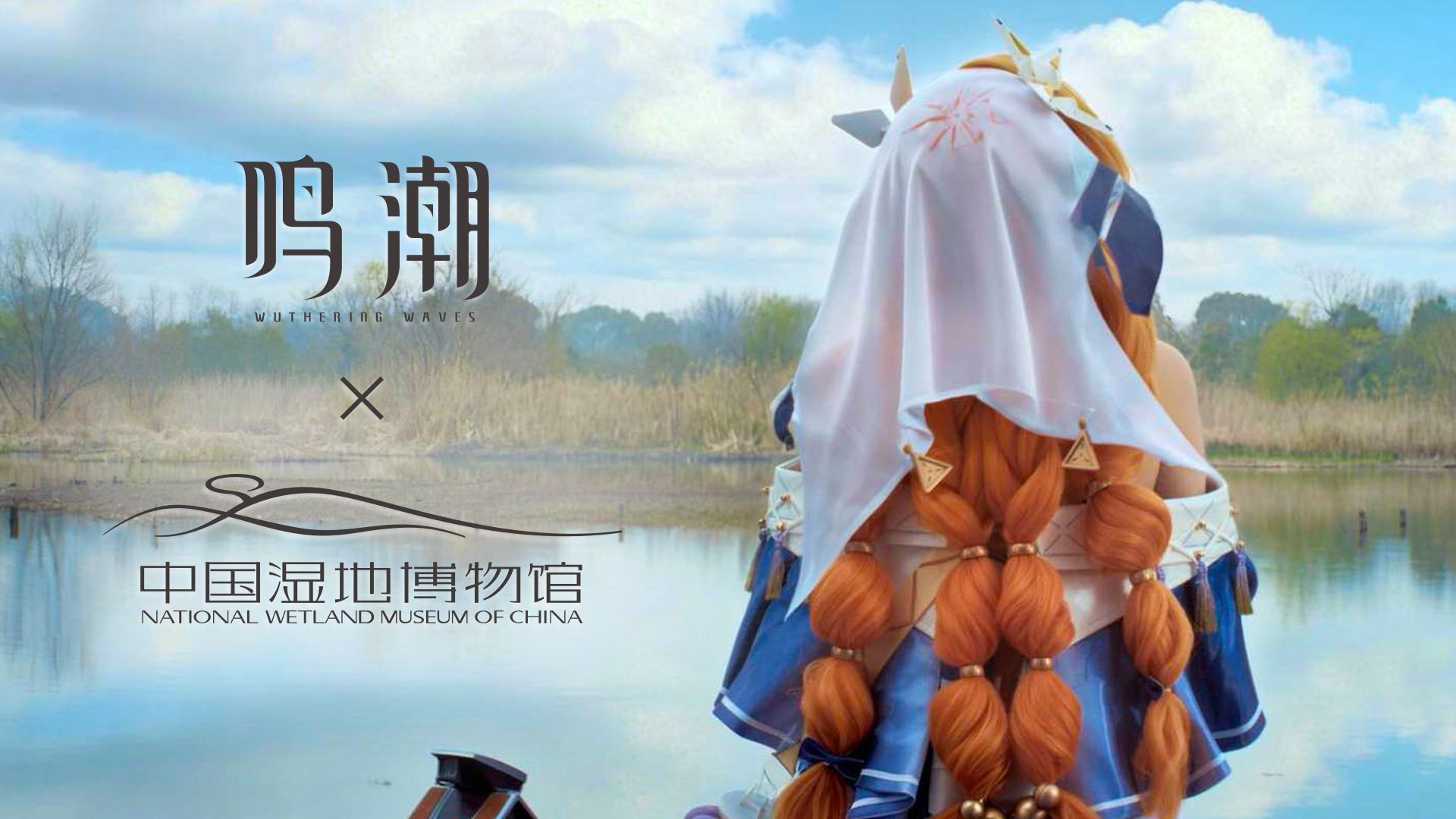 寰宇频道特别栏目丨守护天空精灵