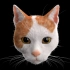 【GIF还原计划】PART1——快乐撸猫，初级xgen毛发造型