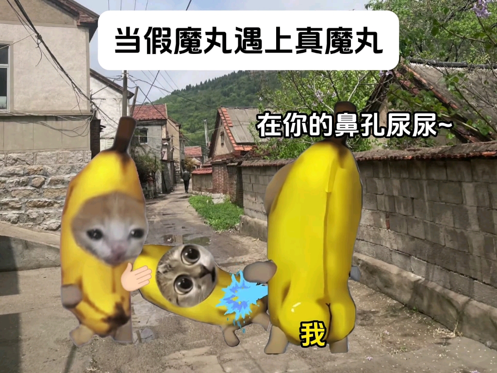 当假魔丸遇上真魔丸