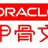 Oracle入门经典