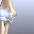 肘关节解剖学结构动画展示【暂时不做字幕】