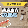 这次来南京，围观一下南京虫友们的自然爱好