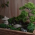 【转载】Asu 日式庭院 [Making a Japanese Garden]