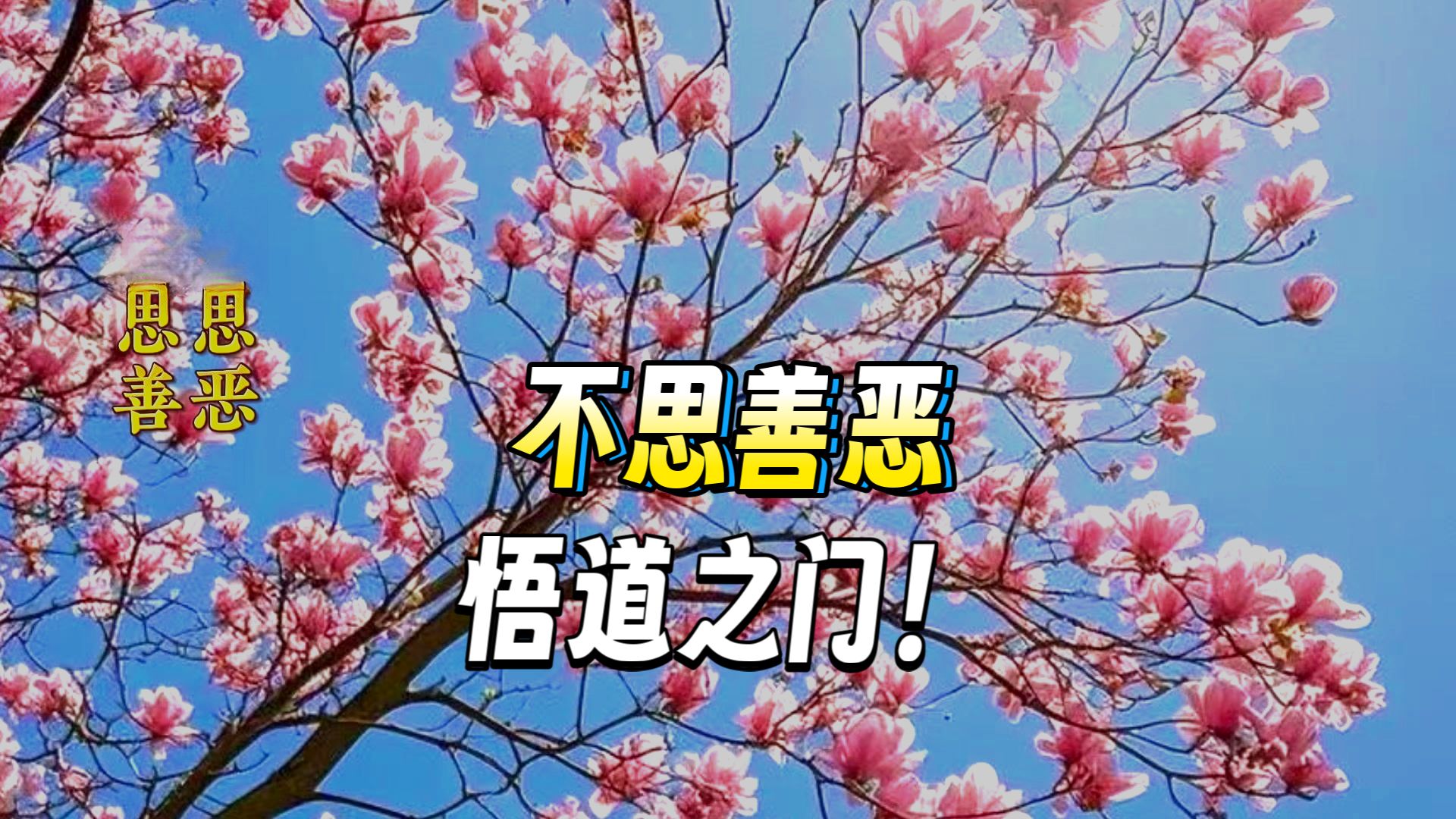 体佛法师开示：不思善 不思恶