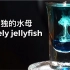 孤独的水母（Lonely jellyfish）