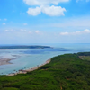高桥、山口红树林保护区
