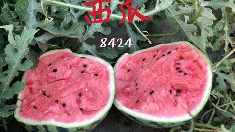 3d919cefa52fe23722b774848fb6b88410bc0a41.jpg@480w_270h_1c