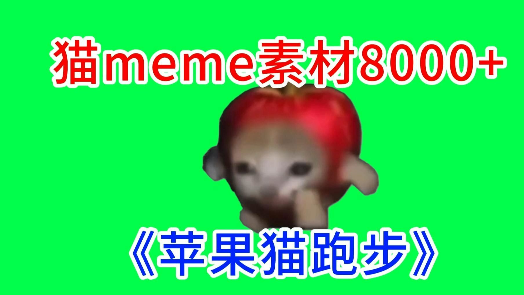 【苹果猫跑步！】猫meme绿幕素材完整分享～，猫meme素材整合分享，合集分享！