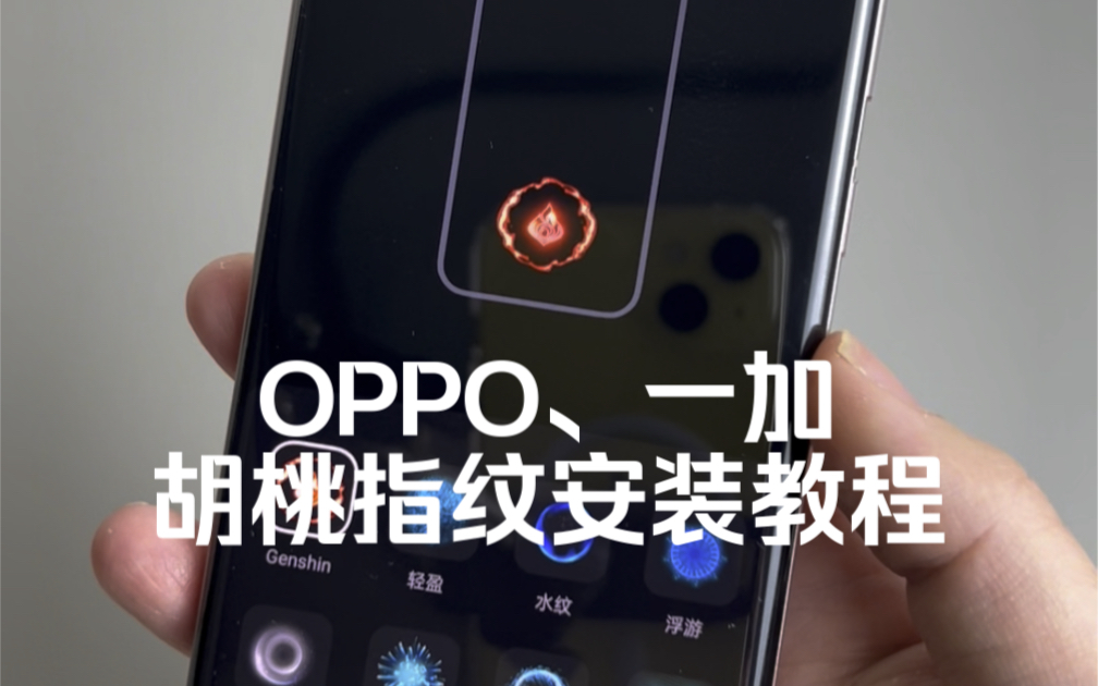 OPPO、一加手机，胡桃指纹安装教程，喜欢胡桃小姐姐的可以试一下