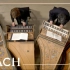 羽管键琴 & 巴赫-a小调协奏曲 Bach - Concerto in A minor BWV 1065 | Nethe